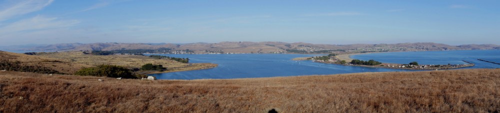 Panorama Photo of Bodega Bay (remember Hitchcock's "The Birds"?)