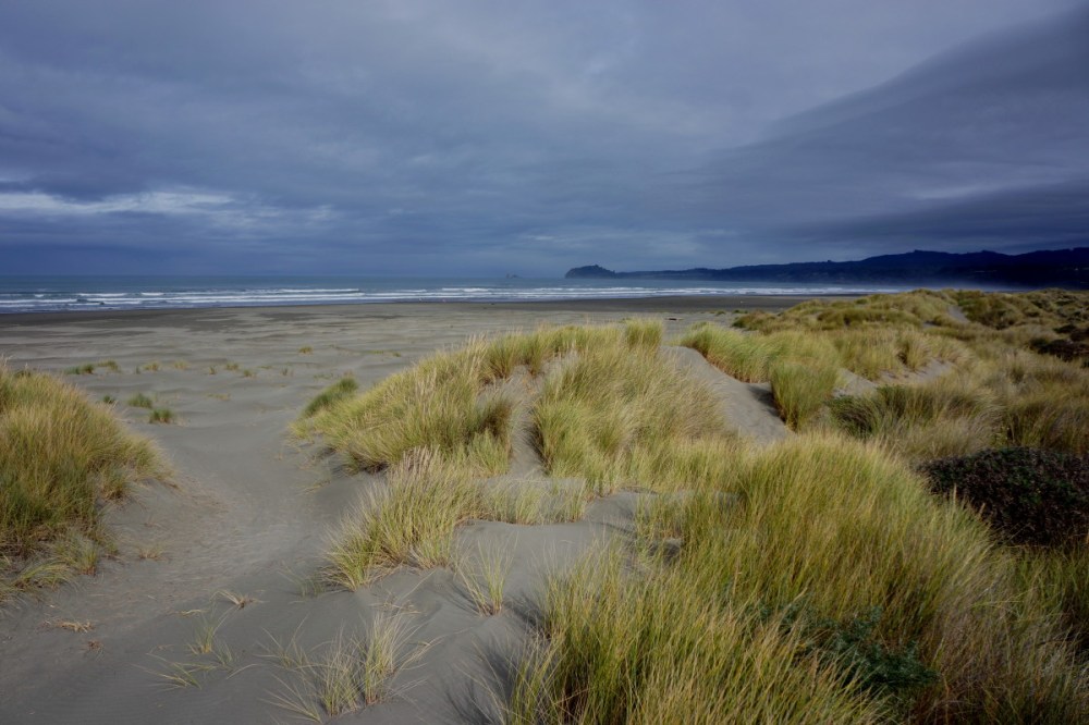 Clam Beach near Arcata, CA