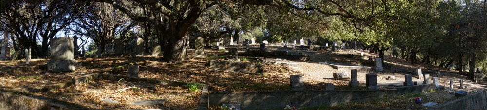 Santa Rosa Rural Cemetery. Although I'm not that much of a "tombstone tourist", the S.R. Rural Cemetery is very cool. Besides its historical value, the cemetery is interspersed with lots of trees. It provides a great walking experience as there are lots of oak tree - shaded trails, bordered by graves, to walk along. My sister, Toni, being a great fan of interesting cemeteries, would undoubtably love the Santa Rosa Rural Cemetery!