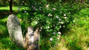 Santa Rosa Rural Cemetery